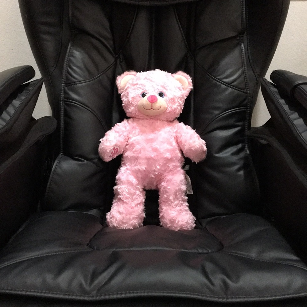 ❣️ BUILD-A-BEAR ❣️ COLLECTION GORGEOUS FLUFFY FUR PINK COLOR BEAR ( NWOT ) .